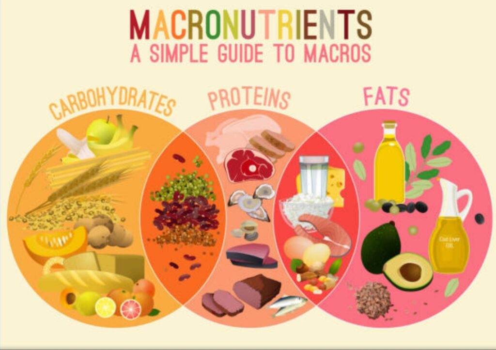 Micronutrients- includes carbohydrates, fat and proteins, during pregnancy