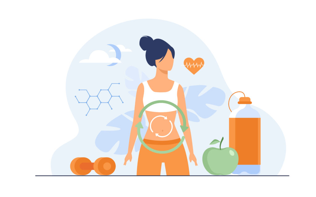 Digestion system, food energy, hormone system flat vector illustration. Showing how plant based diet in diabetes can help in weight management